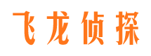 城厢市调查公司